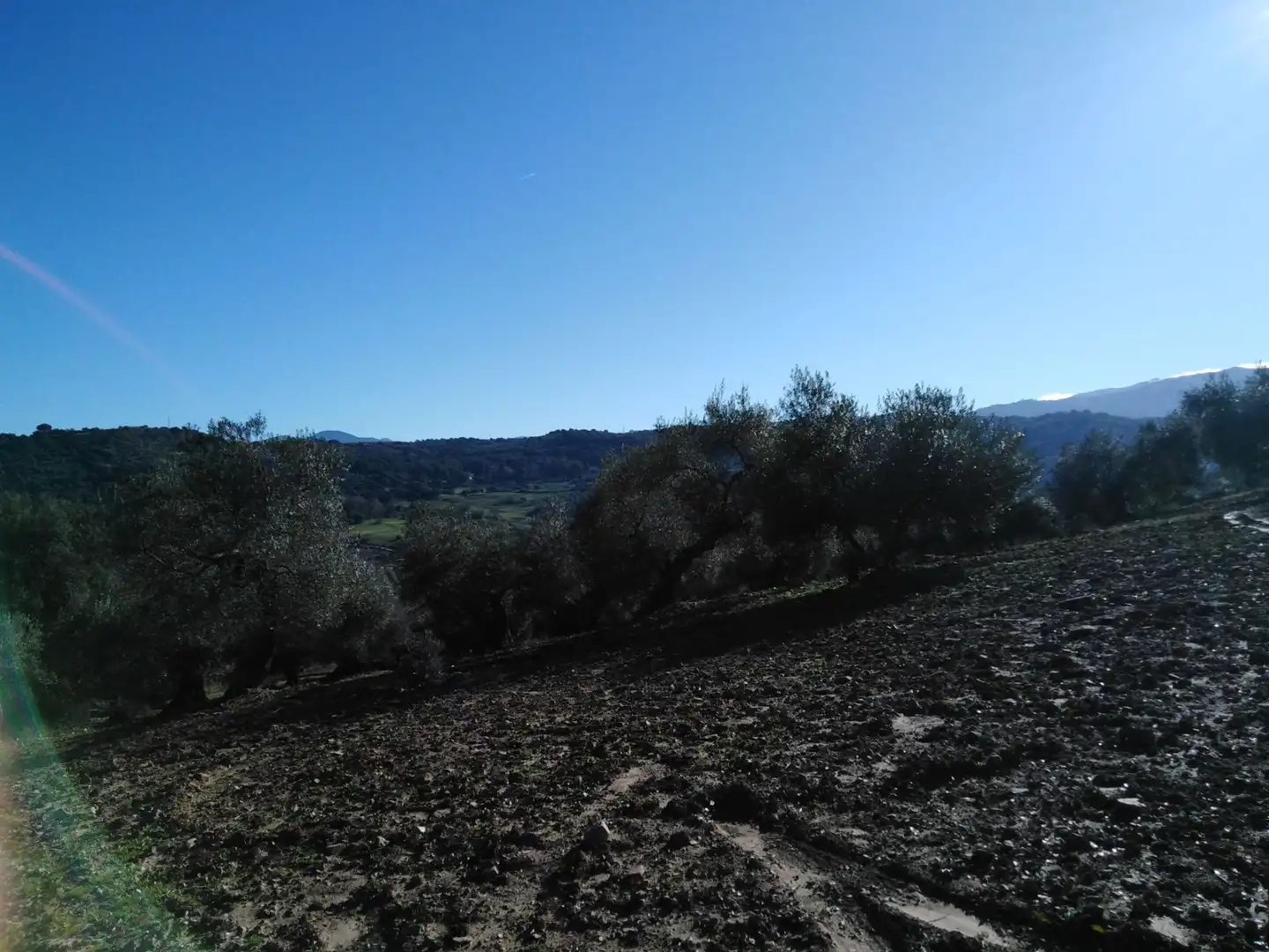 Residential for sale in Ronda