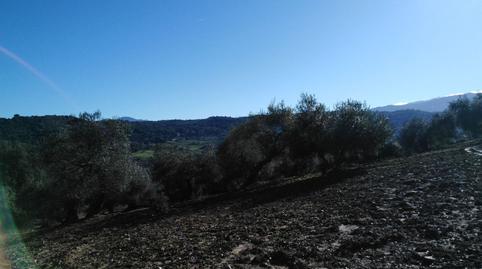 Foto 2 de Residencial en venda a Partidas Sur, Málaga