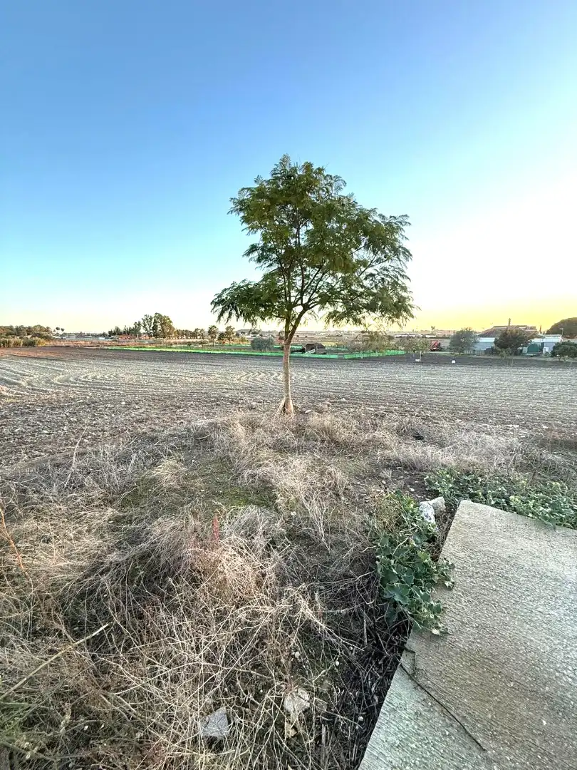 Rural land for sale in Ctra Sanlúcar - Cuatro Pinos, imagen 16