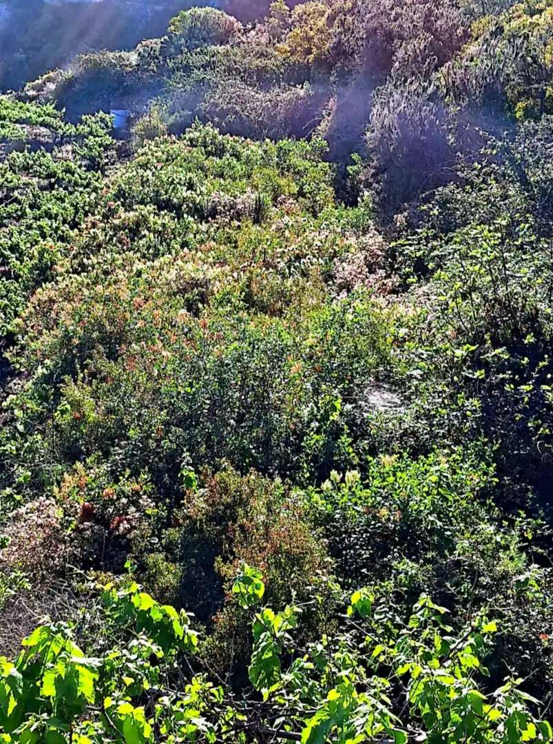Rural land for sale in La Corujera, imagen 5
