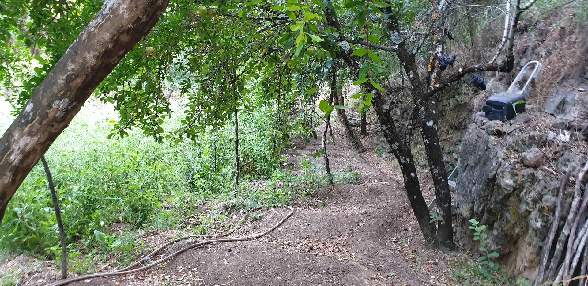 Casa en venta en Benaocaz, imagen 71