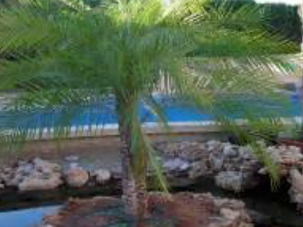 Villa mit Garten zum Verkauf in FINCA LA CAPELLANIA 6, imagen 11