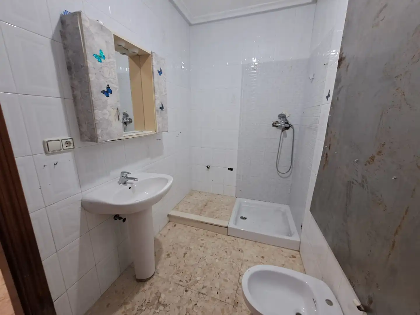 Bany de Casa o xalet en venda en Puertollano