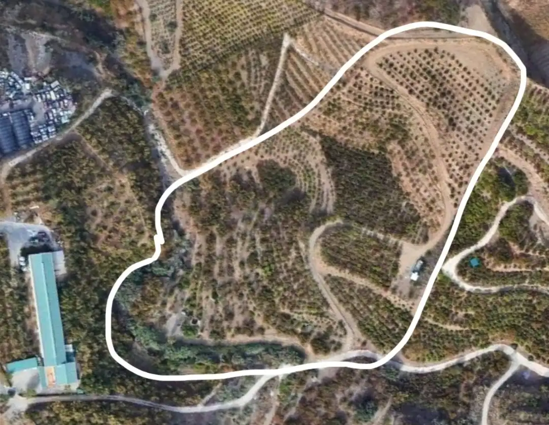 Terreno rustico in vendita a Diseminado Real Alto