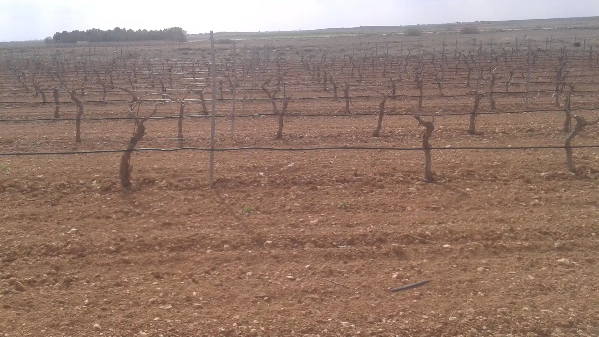 Terrenys i solars en venda a Las Mesas, imagen 17