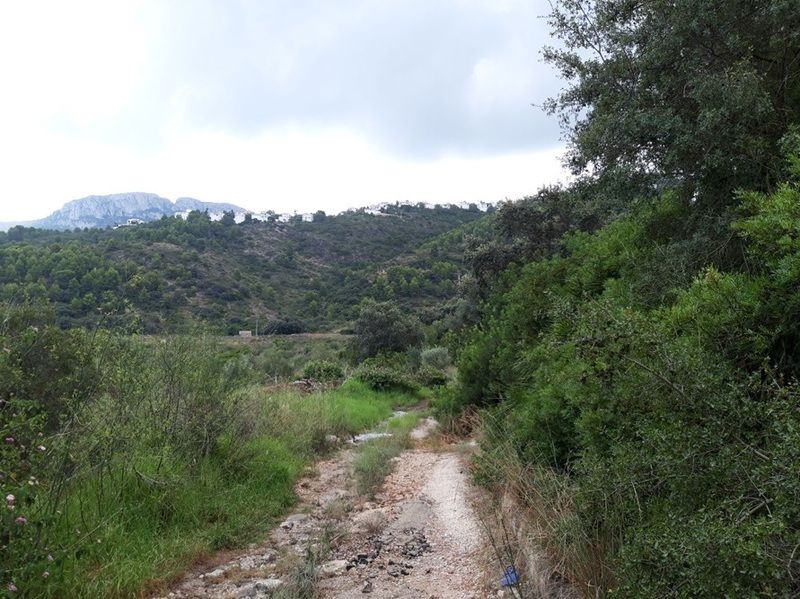 Land for sale in Dénia