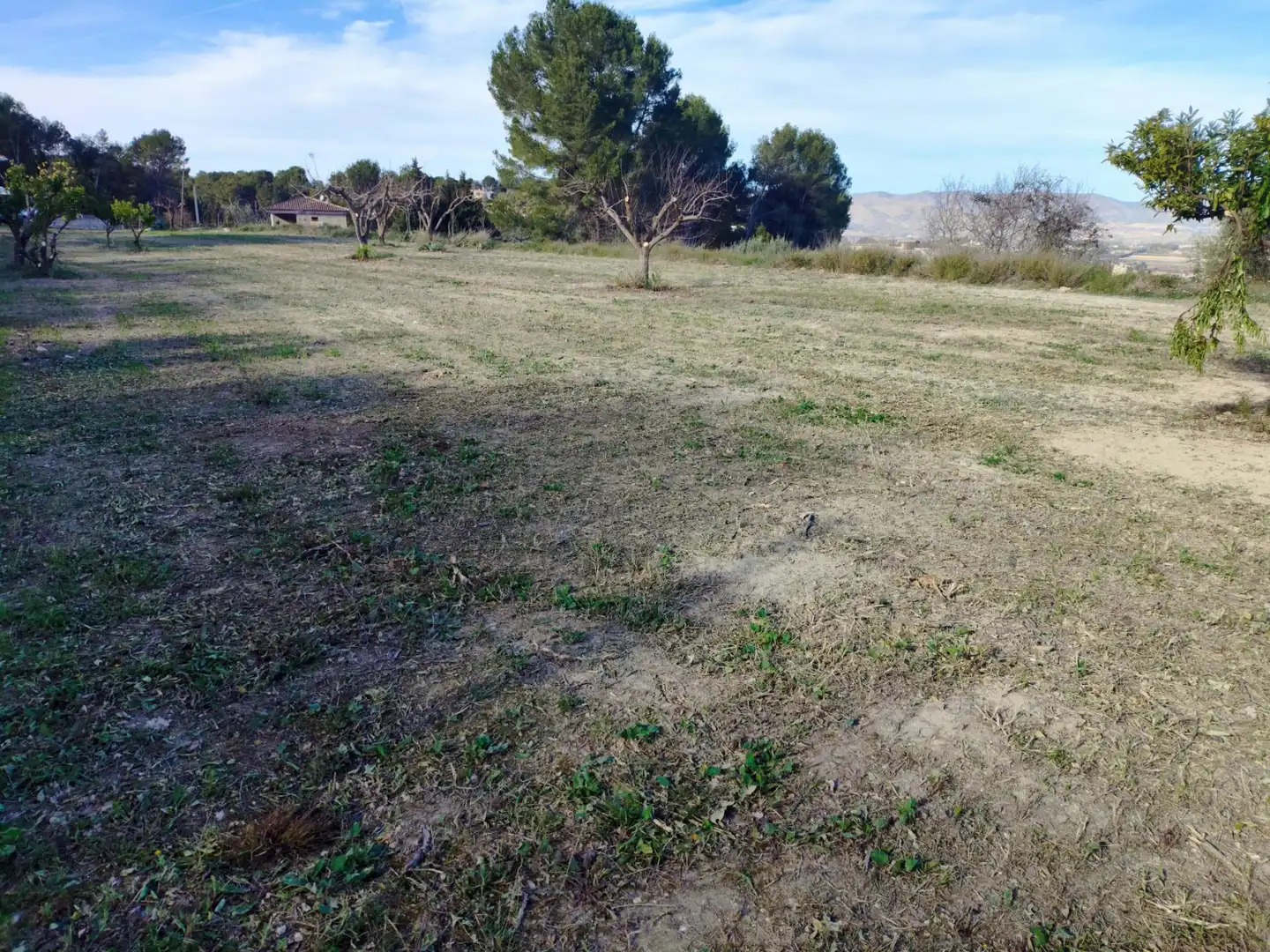 Terreno residenziale in vendita a Agullent, imagen 2