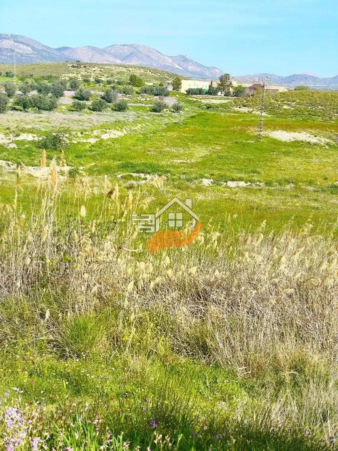 Lands and plots for sale in Pedanías Norte, imagen 13