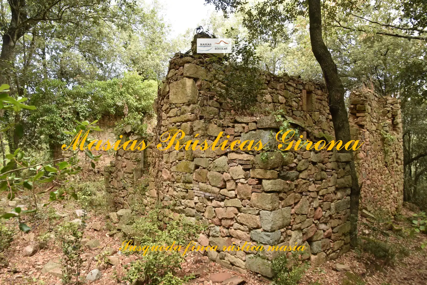 Casa rústica amb jardí en venda a Susqueda, imagen 5