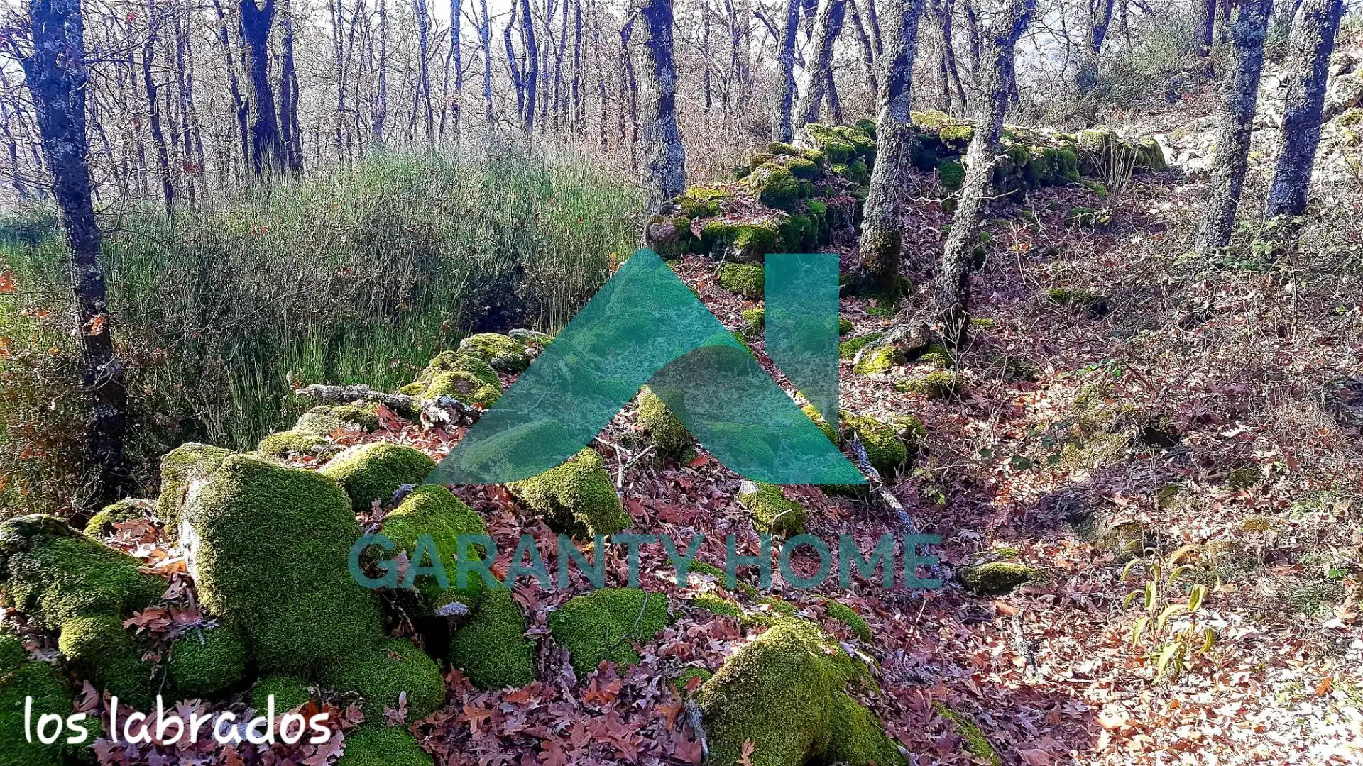 Finca rústica en venta en Aldeanueva de la Vera