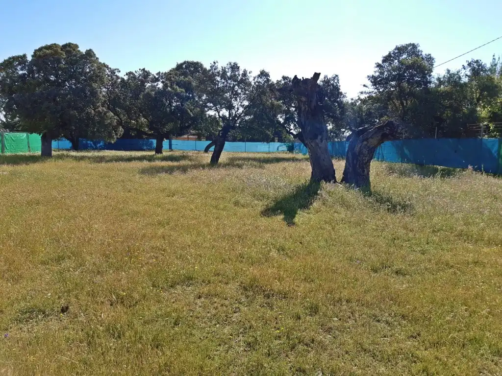 Xalet amb piscina en venda a Ruta de la Plata, imagen 22