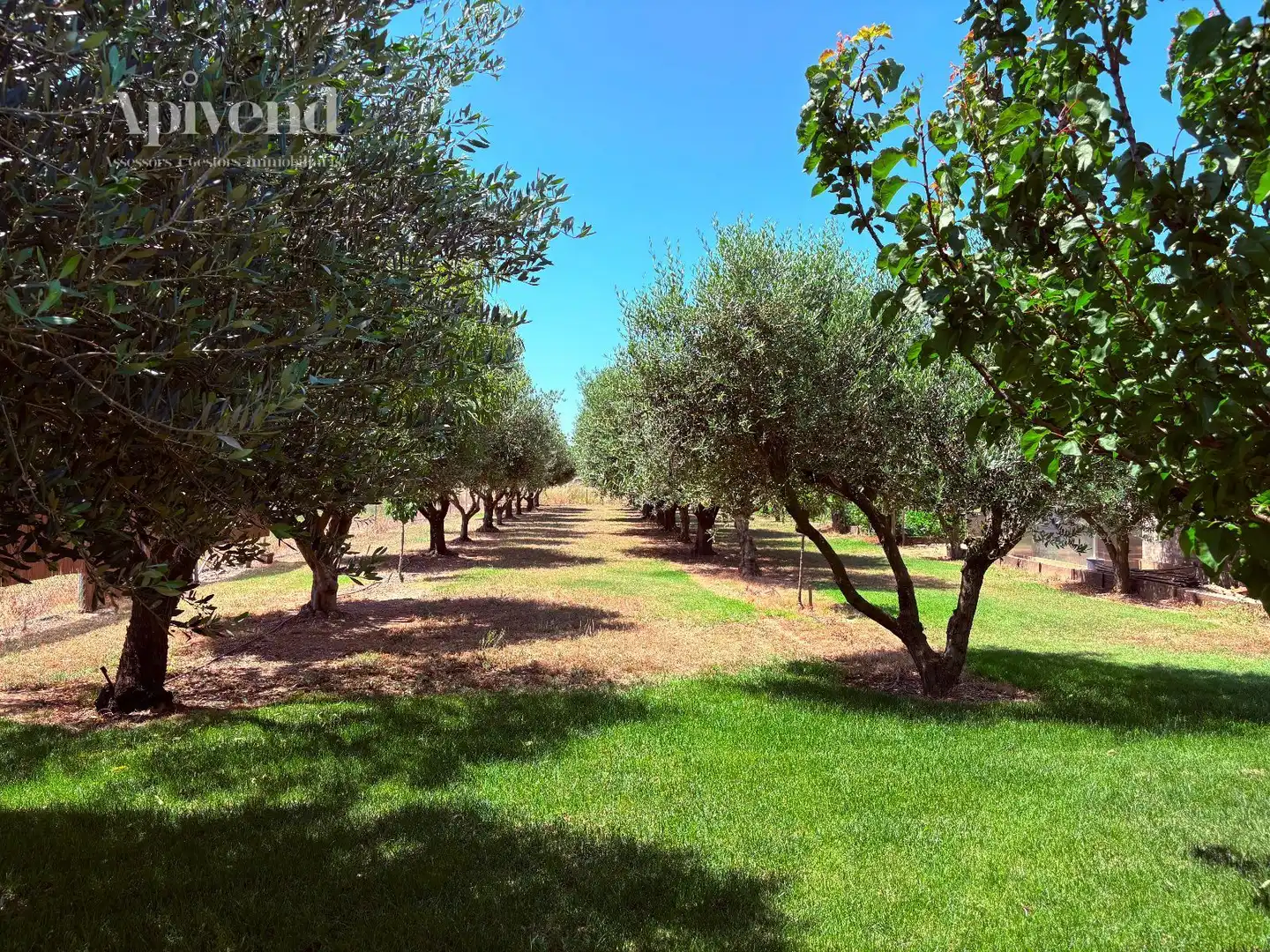 Jardín de Casa o chalet en venta en Peralada con Aire acondicionado, Calefacción y Trastero