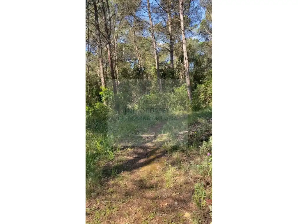 Land for sale in Pals