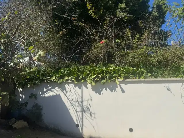 Maison rustique avec terrasse à vendre à N/A, imagen 12
