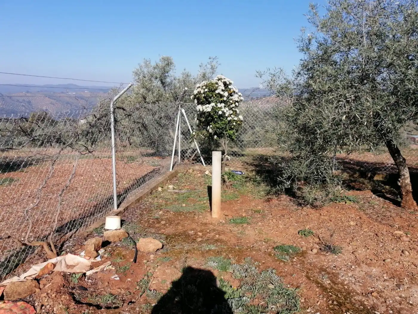 Casa amb jardí en venda a Montoro, imagen 53