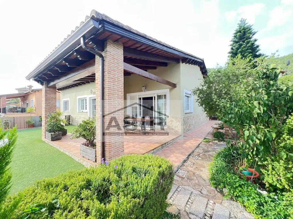 Jardín de Casa o chalet en venta en Alzira
