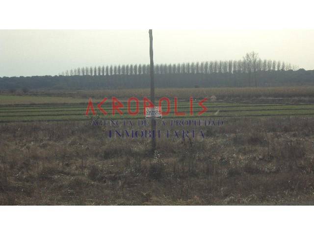 Terreno residencial en Venta en Calle Benavente Vigo en Santa Cristina de la Polvorosa