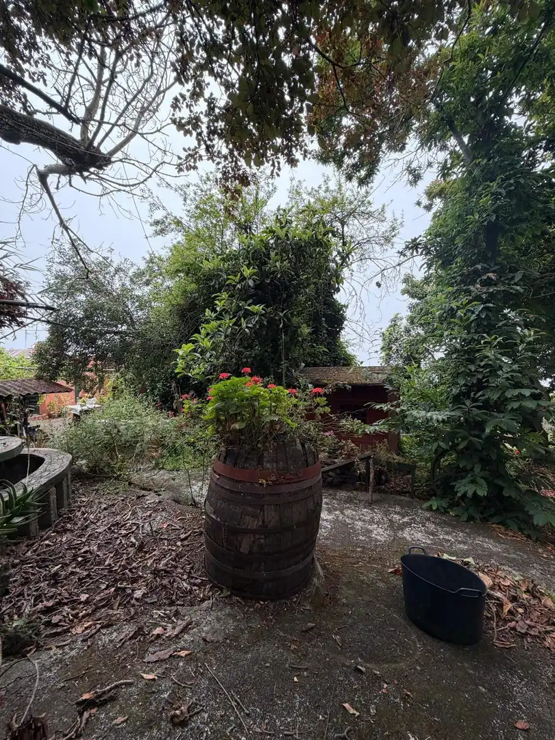 Terreno rustico in vendita a El Bebedero - Pinolere - Aguamansa, imagen 35