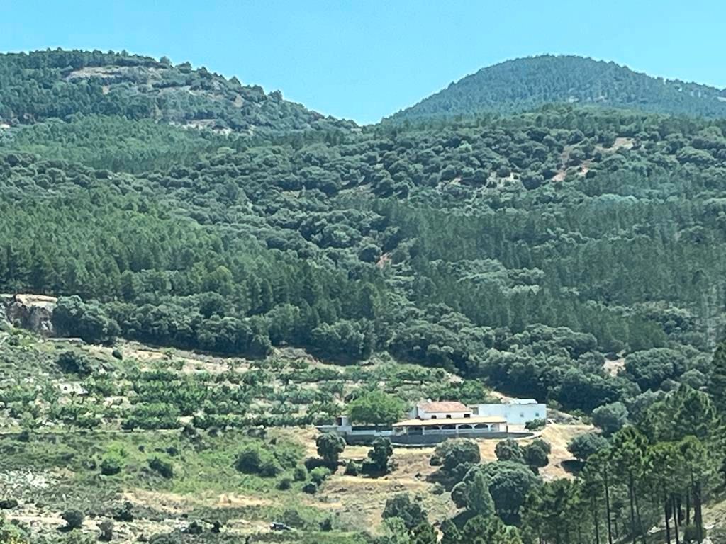 Land for sale in Vianos