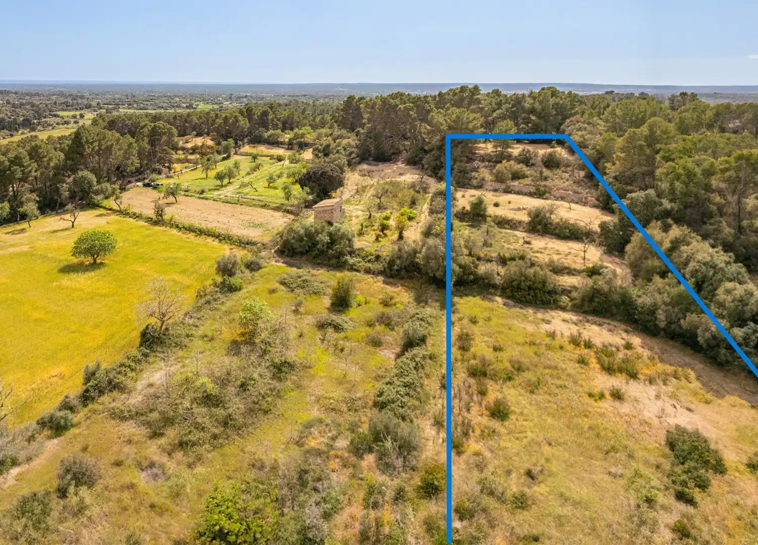 Terreno rustico in vendita a Llucmajor pueblo, imagen 2