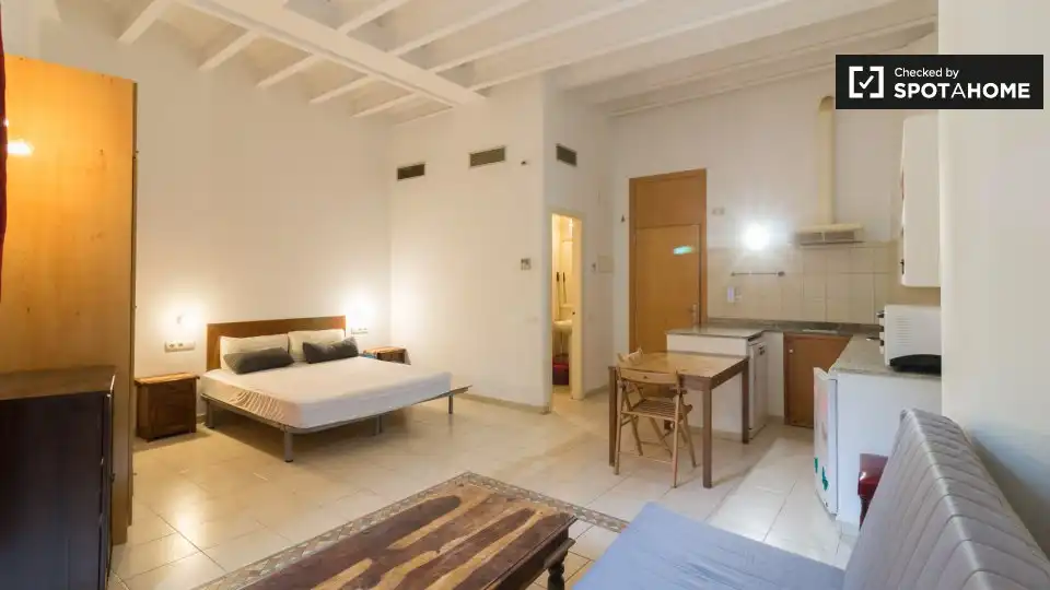 Flat with terrace to rent in Ciutat Vella