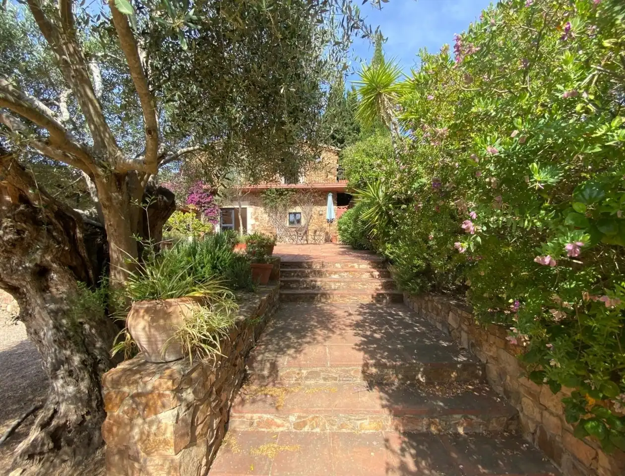 Finca rústica en venda a Barri Molines, 100, Mont-ras
