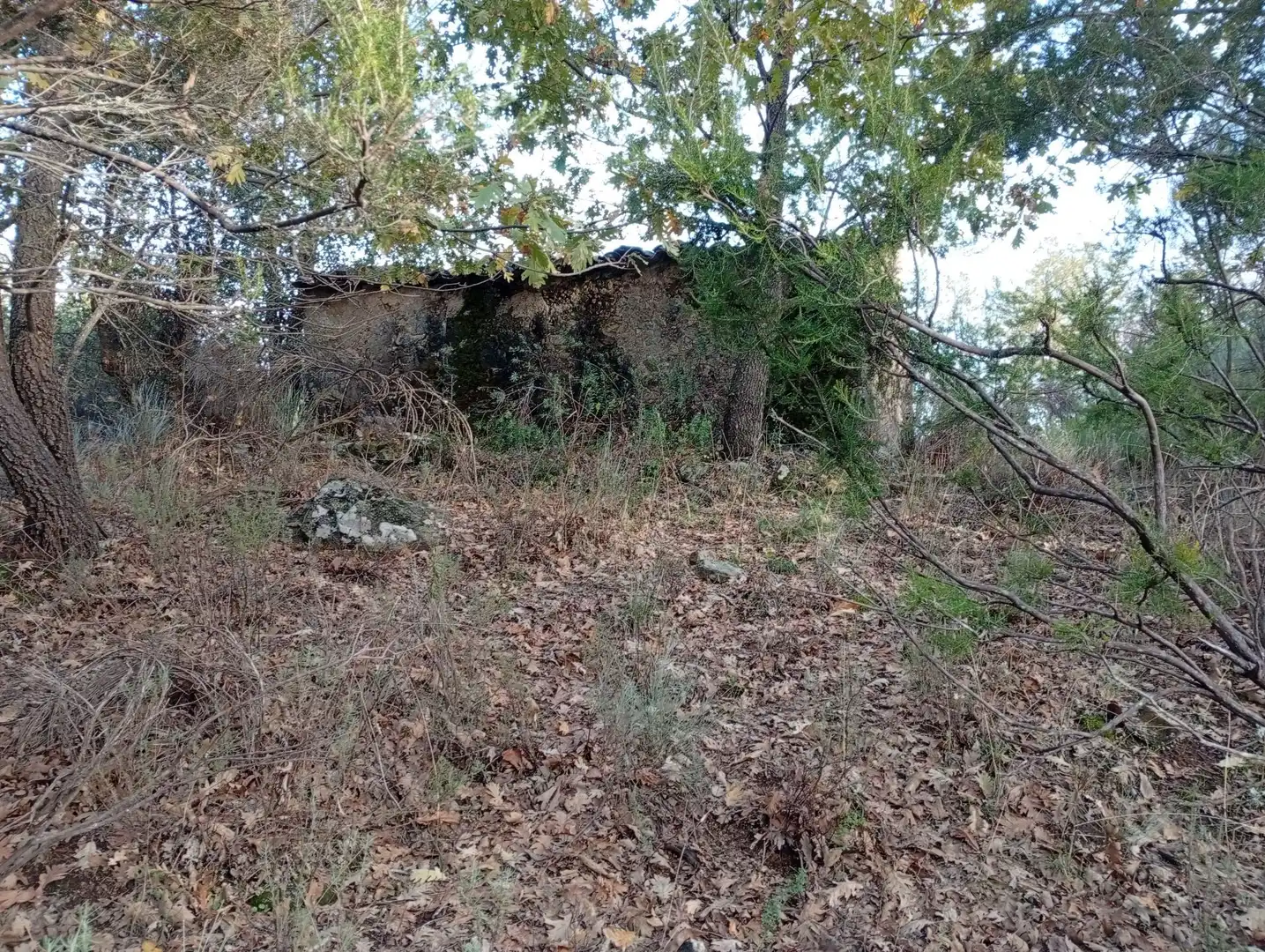 Terreni e lotti in vendita a Villanueva de la Vera, imagen 44