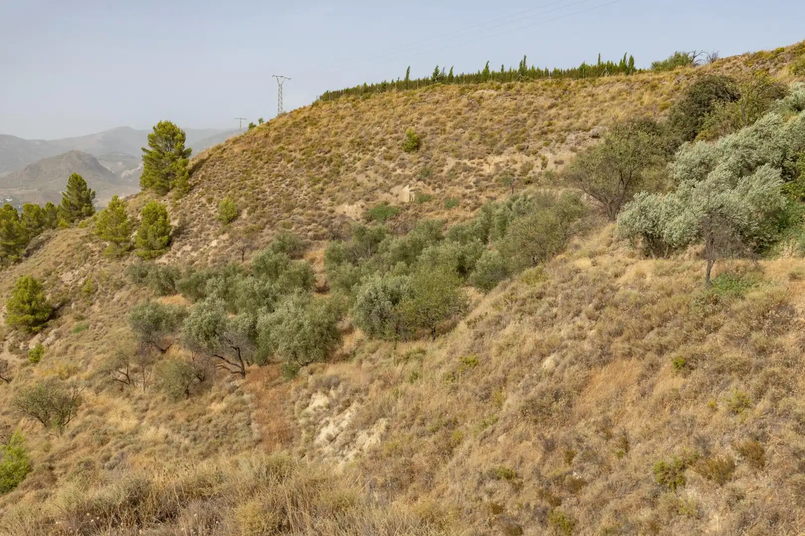 Land for sale in Lecrín