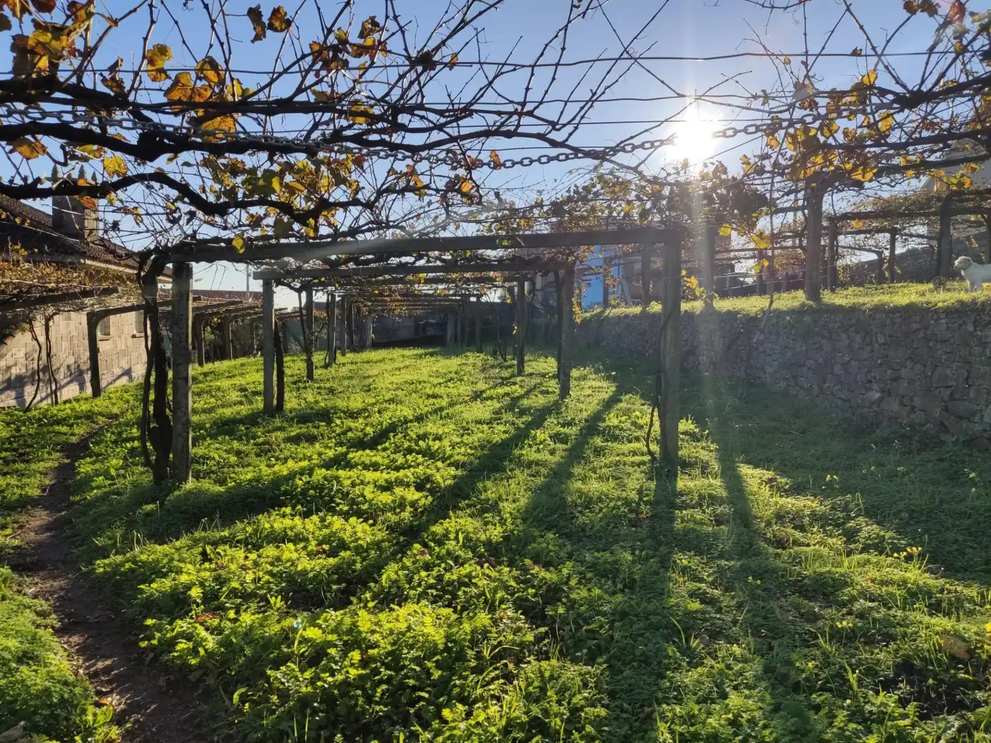 Xalet amb jardí en venda a Lugar CUIÑA-TREMOEDO, imagen 34
