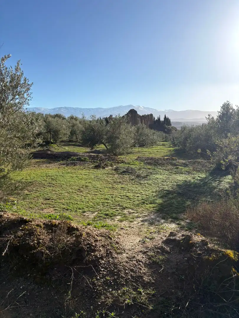 Grundstücke zum Verkauf in Guadix
