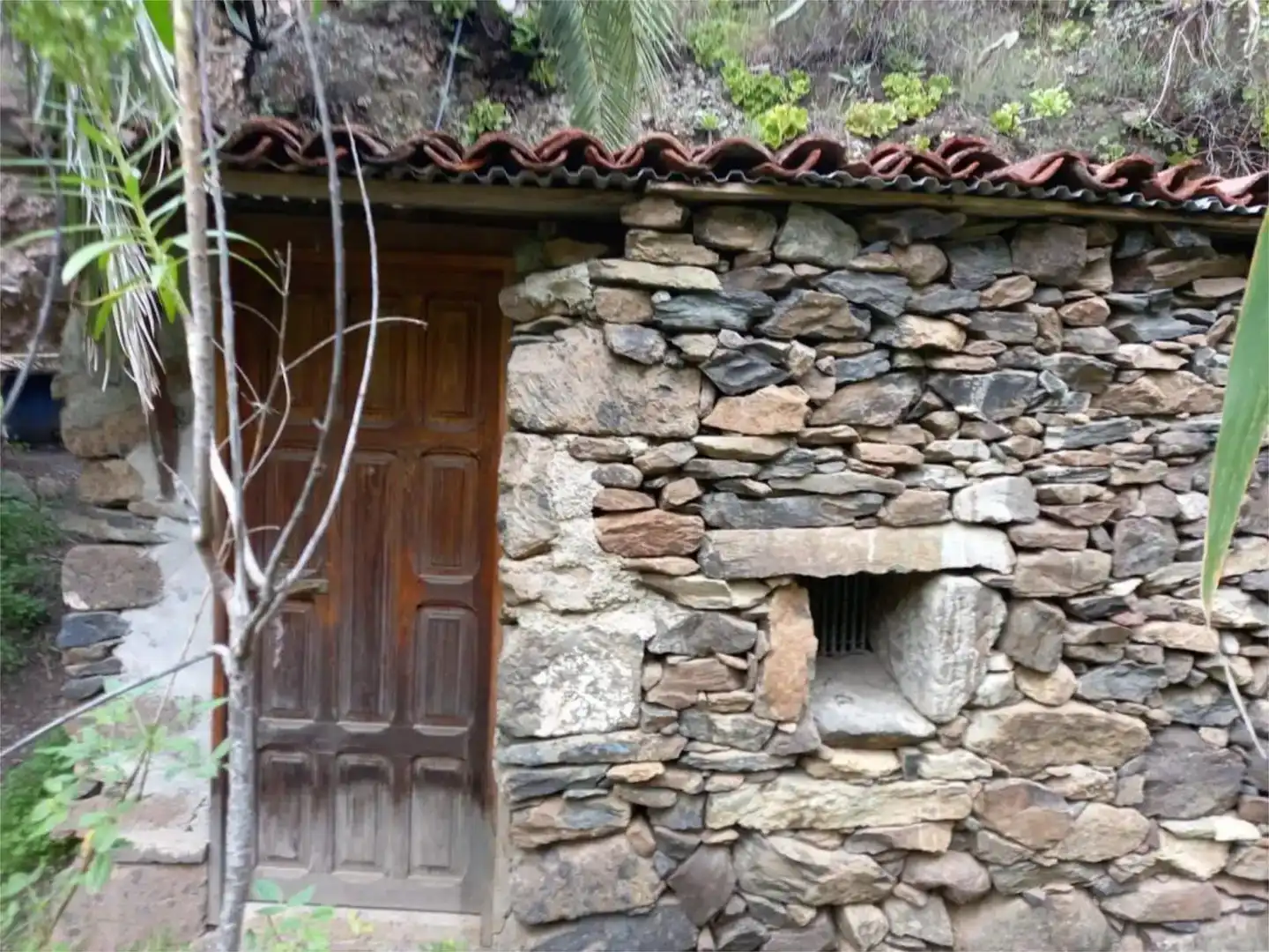 Vista exterior de Finca rústica en venda en Firgas