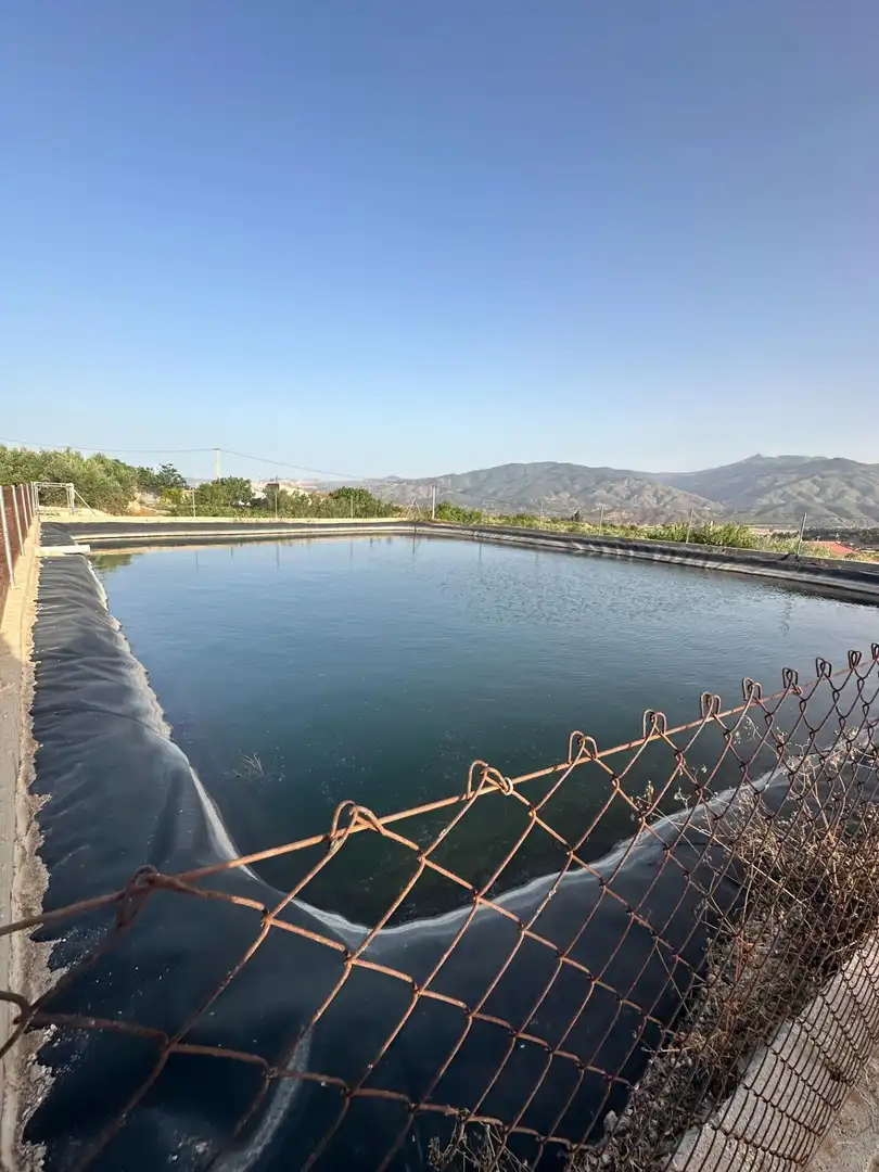 Piscina de Finca rústica en venta en Somontín