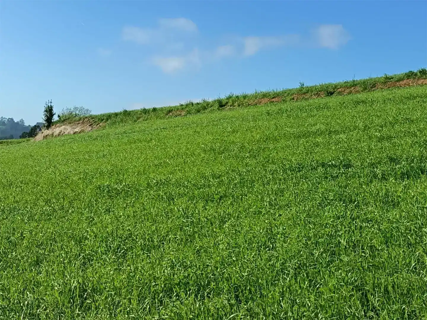 Residencial en venda en Comillas (Cantabria), Cantabria