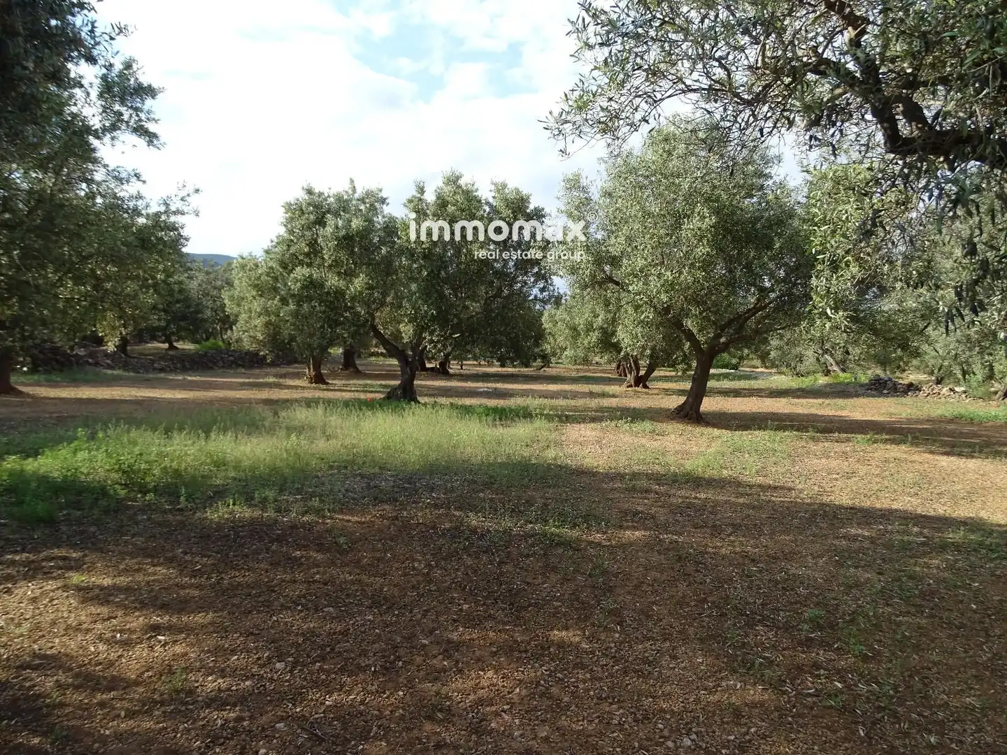Terrain résidentiel à vendre à 14, imagen 7