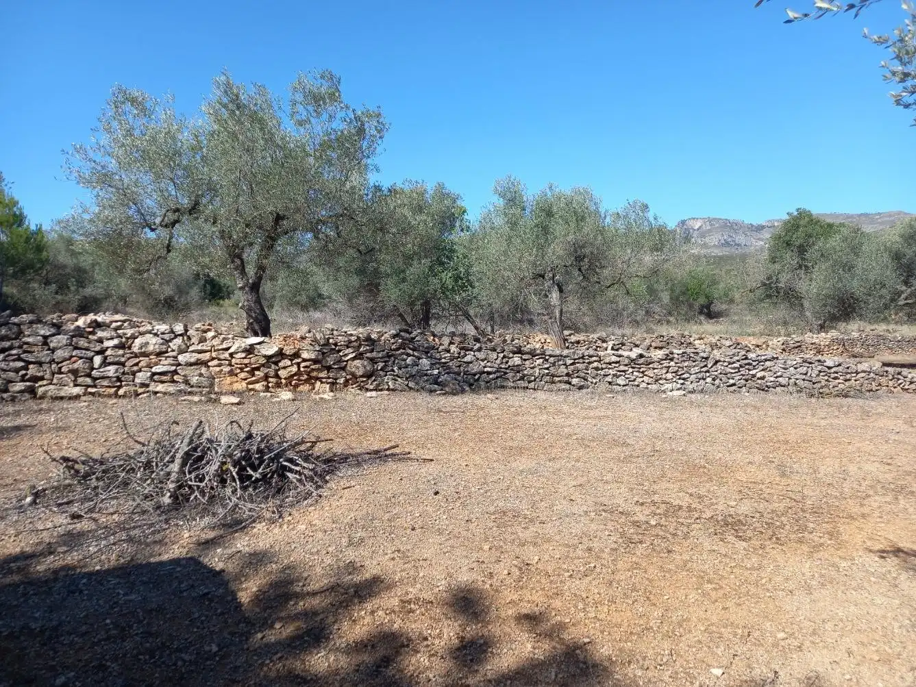 Terrain rustique à vendre à Rasquera, imagen 5