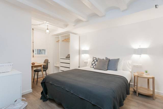 Apartamento en Alquiler en El Raval