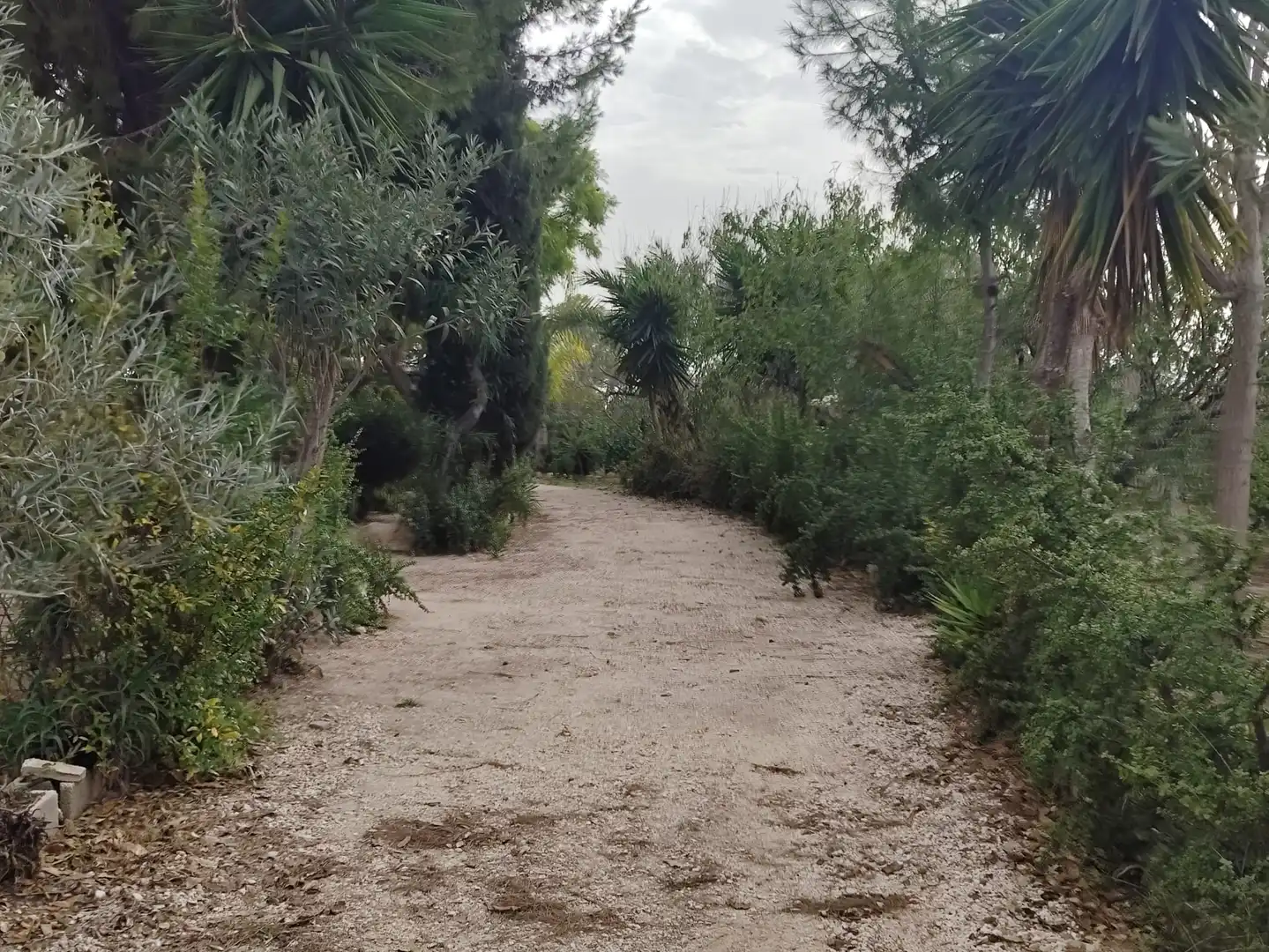 Casa o xalet en venda en Elche / Elx amb Jardí privat i Moblat