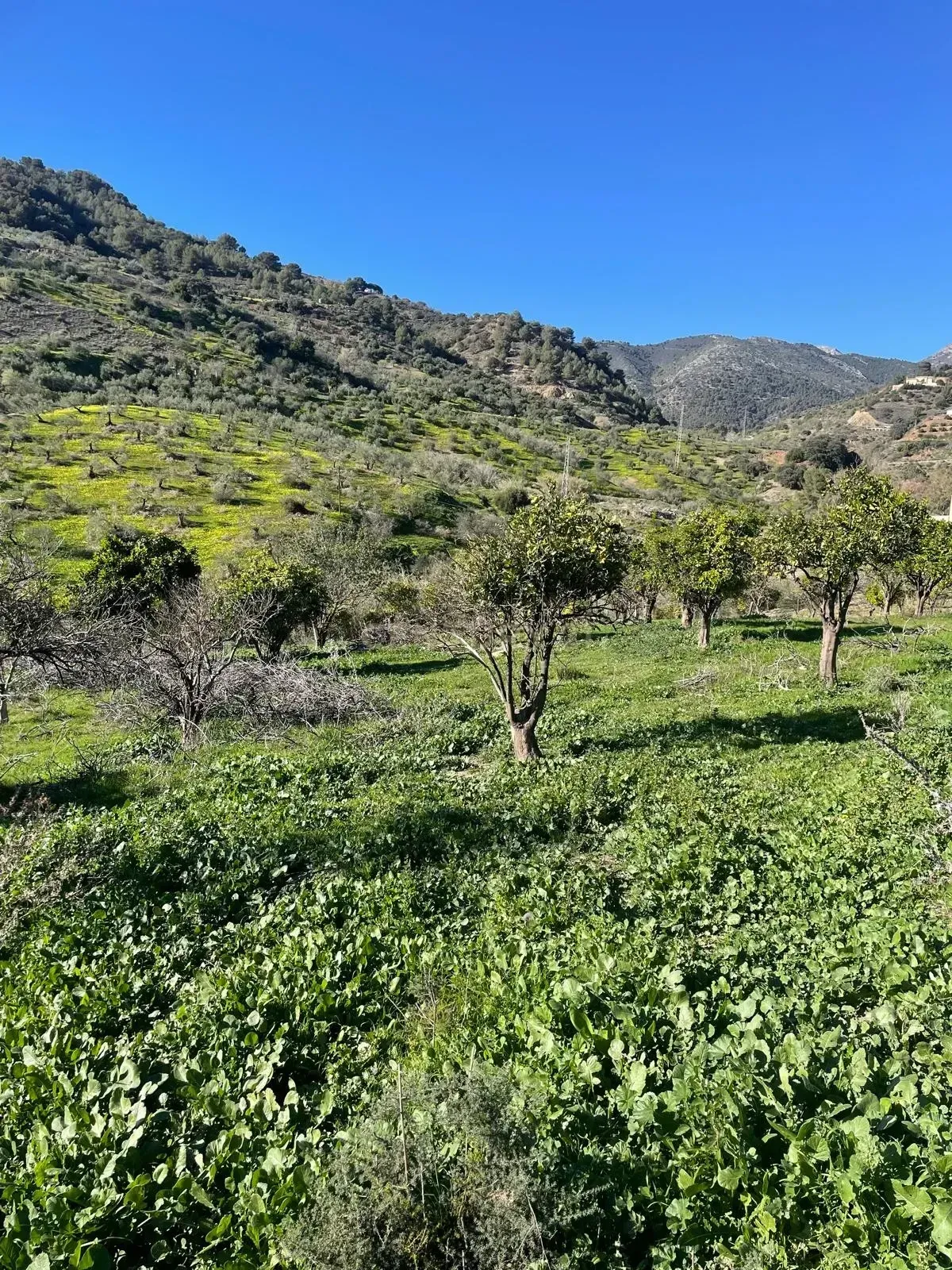 Residencial en venta en Huétor Tájar
