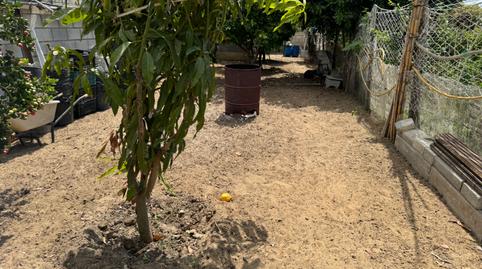 Foto 3 de Finca rústica en venda a La Jara, Cádiz