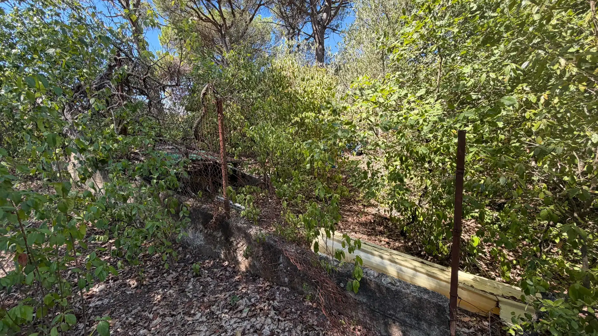 Residential for sale in Riells i Viabrea