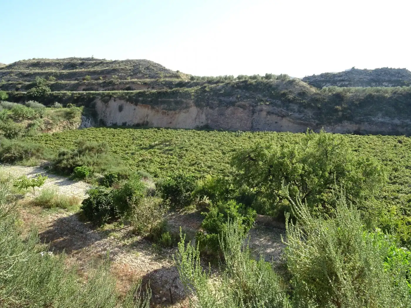 Casa o xalet en venda a Pedanías Este
