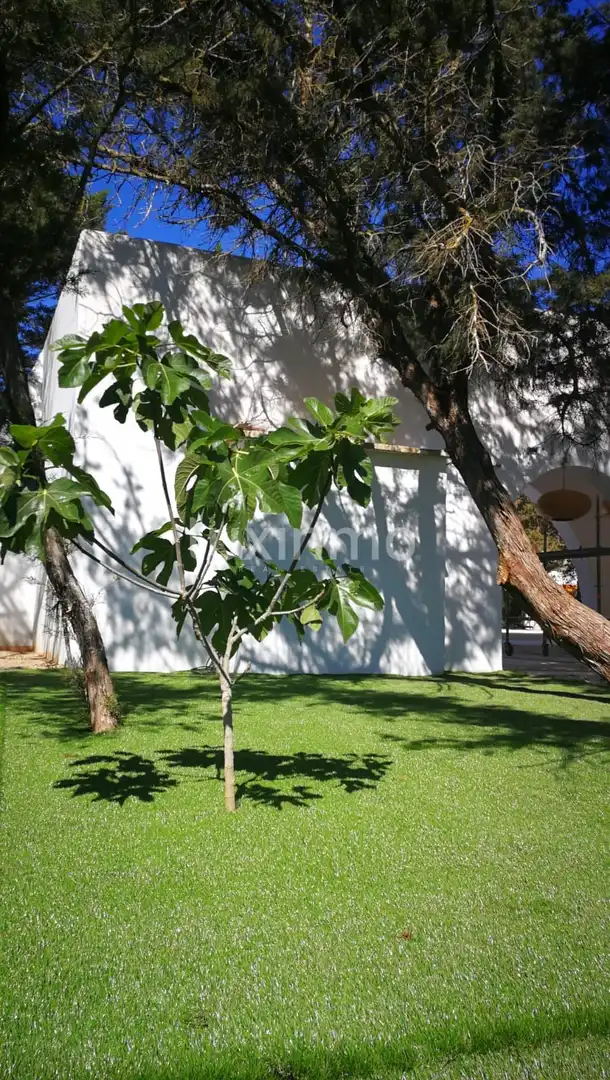 Jardín de Casa o chalet en venta en Sant Antoni de Portmany con Jardín privado, Terraza y Piscina comunitaria