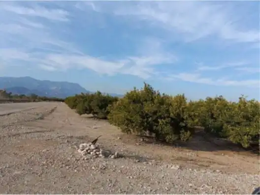 Terreny rústic en venda a Santa Bàrbara, imagen 3