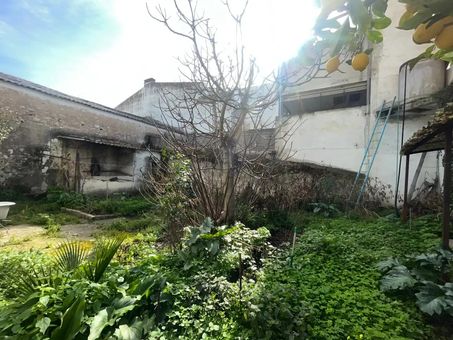 House with terrace for sale in Calle de las Cruces 25, imagen 18