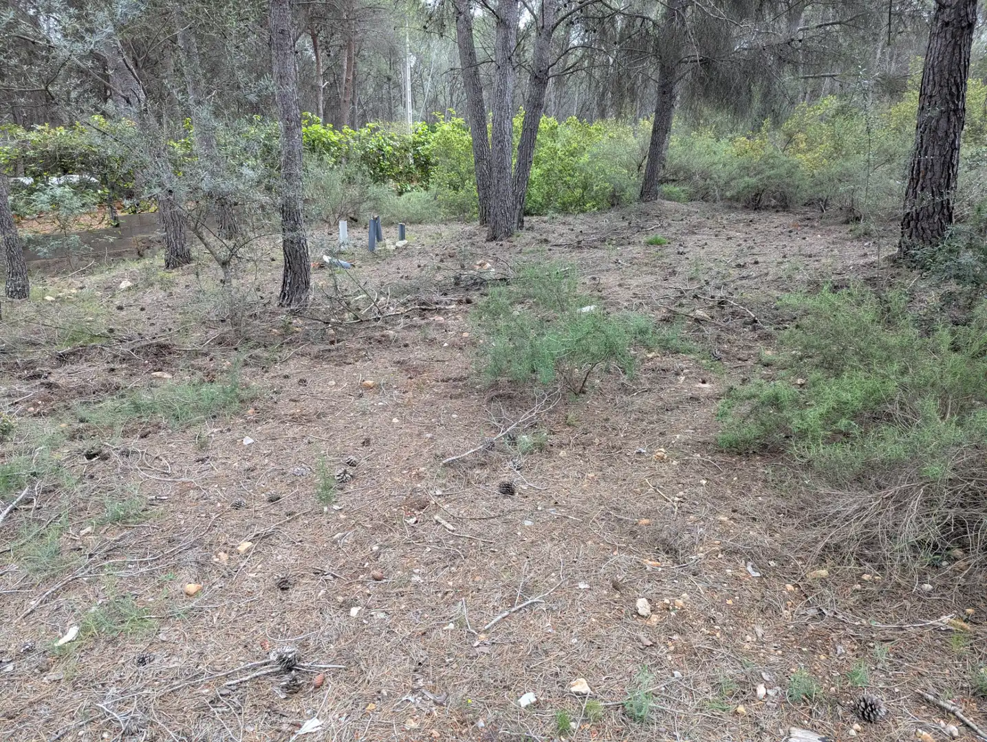 Terreno rustico in vendita a Camino 2 39, imagen 7