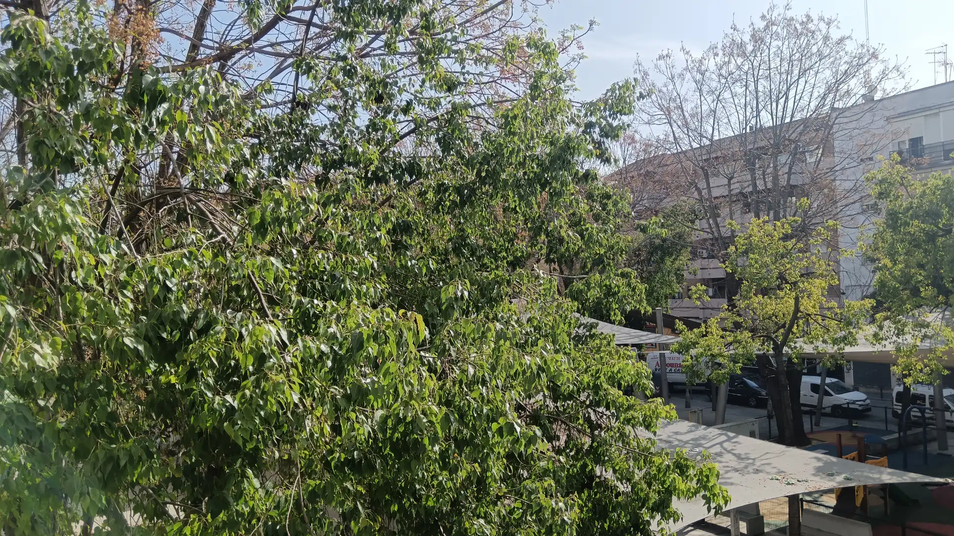 Exterior view of Flat for sale in San Juan de Aznalfarache  with Furnished and Balcony