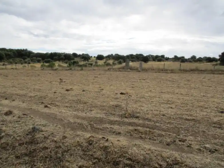 Land for sale in Puente del Congosto