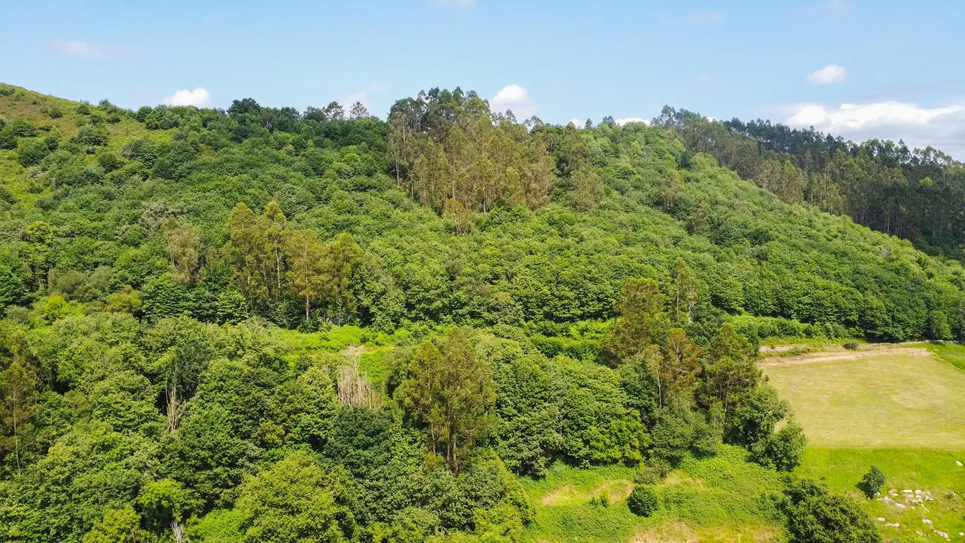 Terreno residenziale in vendita a Carretera de Las Cuestas a Sama de Grado, imagen 32