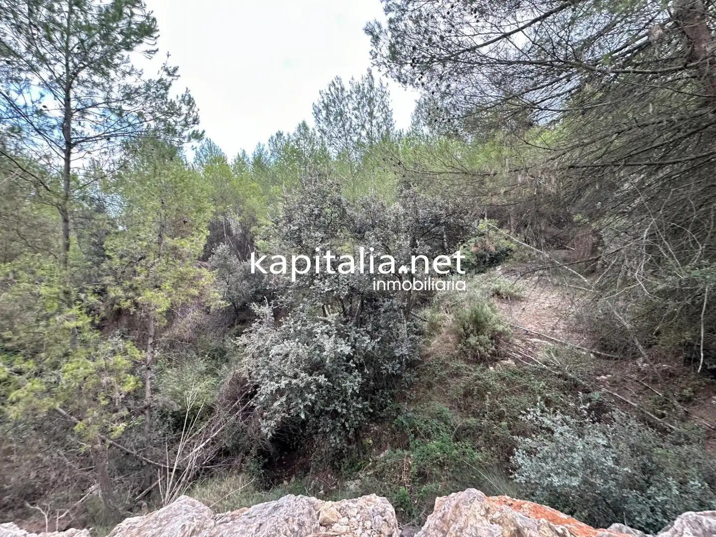 Terreno residencial en venta en Alfafara, imagen 4