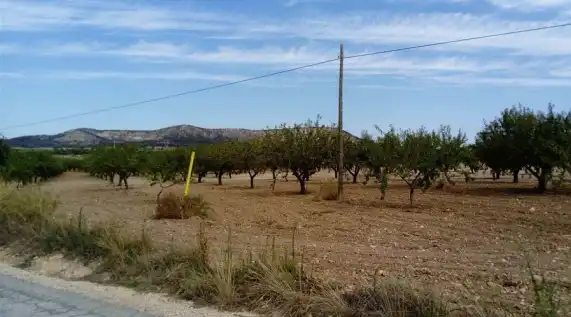 Lands and plots for sale in Paraje Ardal, imagen 9